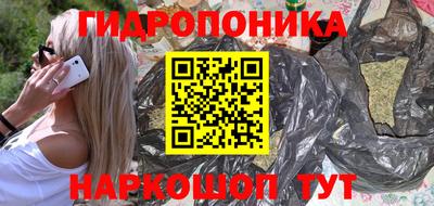 прущие грибы Лесосибирск