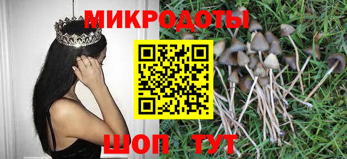 Галлюциногенные грибы мухоморы  Псилоцибиновые грибы мухоморы  Вход с VPN  Егорьевск 