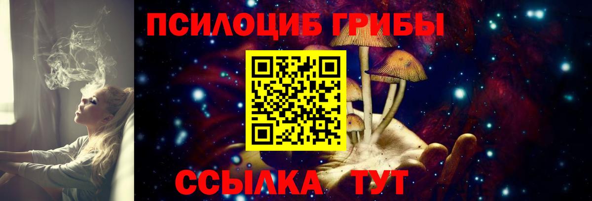 Галлюциногенные грибы Psilocybine cubensis Егорьевск